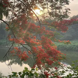  Privatunterkunft 遗忘时光guesthouse Sky Dragon Laos